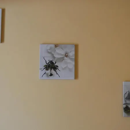 Bed & Breakfast Essenza Di Mare 3*